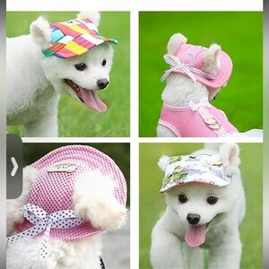 Pet Round Brim Princess Cap Visor Hat (DOG)
Sz-L